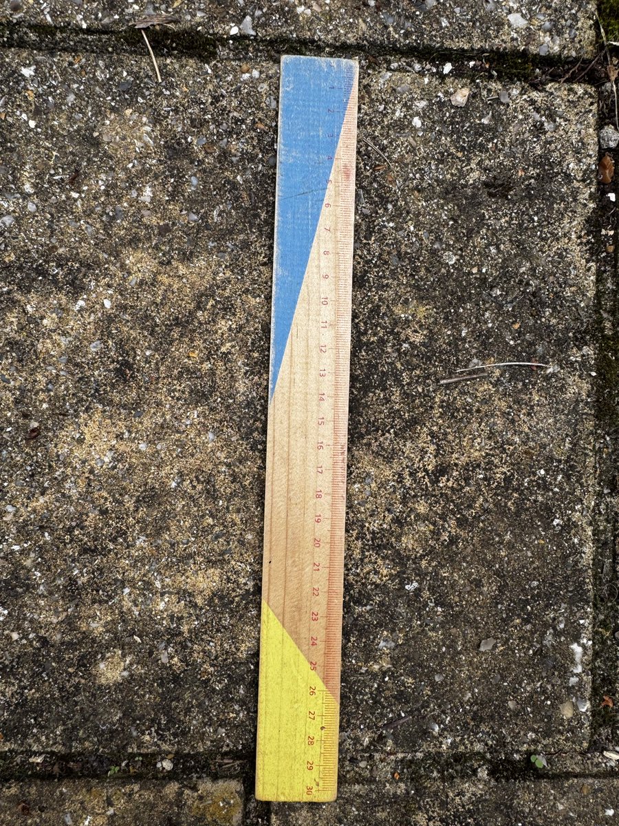 AlexRedston's tweet photo. @ErmineAmies @WildlifeTrusts Seems very big for a stoat, tail was bushy and that slab is 29cm so estimated based on angle of sun, time of day and location + lots of maths gives about 31cm body and 14cm tail which supports a large stoat, thanks for the pointers . A fine creature nonetheless. https://t.co/q9Q14SfTFr
