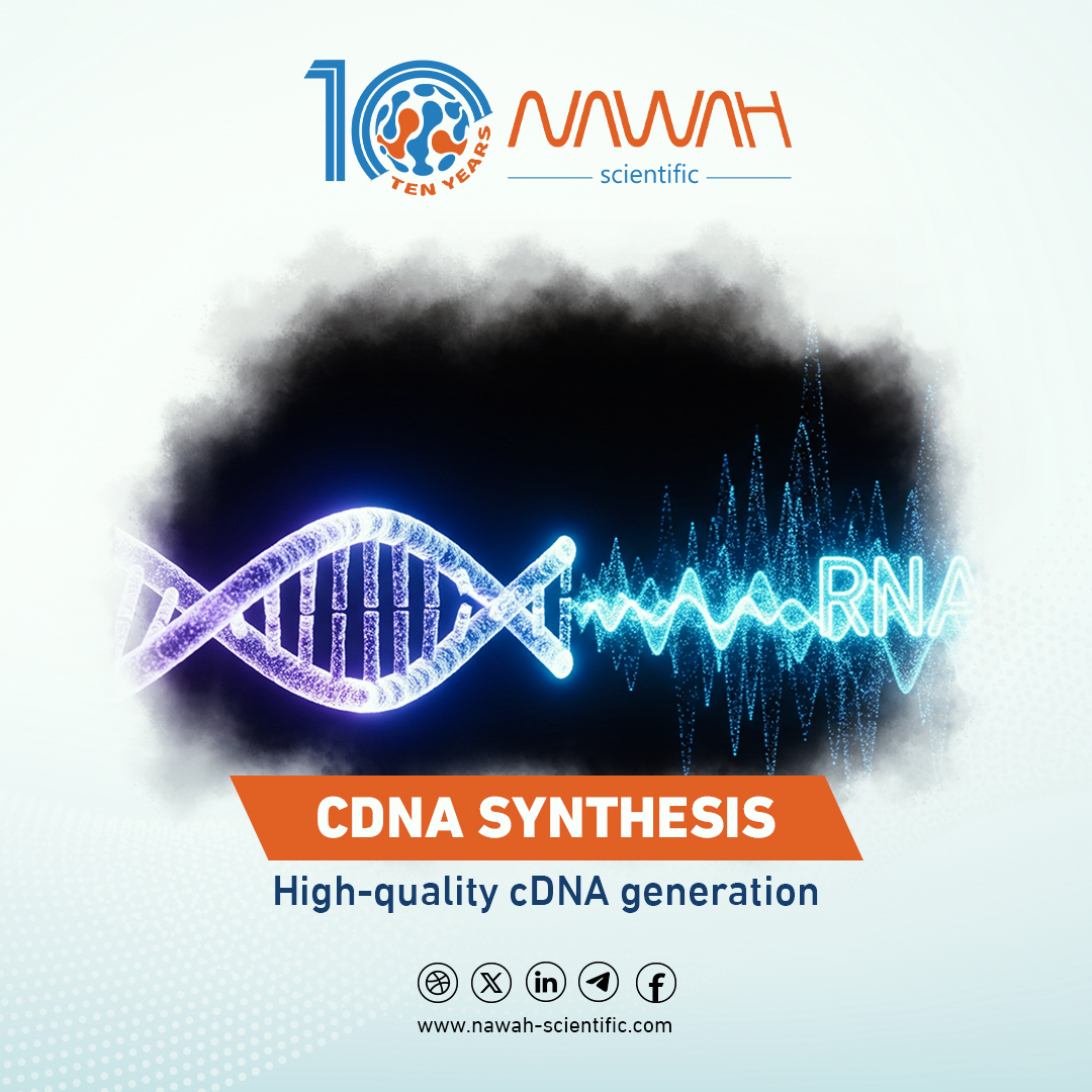 NawahScientific's tweet photo. When your research depends on data quality, transparency is not optional.

At Nawah Scientific, our Molecular Biology Assays deliver high-quality execution, raw data, and publication-ready results you can confidently build on.

From Gene Expression, PCR, SDS-PAGE, Western Blotting, to Nucleic Acid Analysis — every step follows rigorous quality standards.

Let’s discuss your next research project.

🌐 https://t.co/gf0zJlnEvy

#NawahScientific #MolecularBiology #qPCR #WesternBlotting #SDSPage #ResearchServices #PublicationReadyData