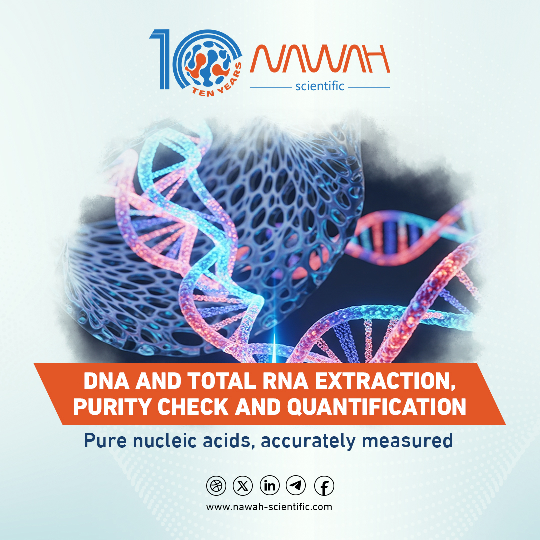 NawahScientific's tweet photo. When your research depends on data quality, transparency is not optional.

At Nawah Scientific, our Molecular Biology Assays deliver high-quality execution, raw data, and publication-ready results you can confidently build on.

From Gene Expression, PCR, SDS-PAGE, Western Blotting, to Nucleic Acid Analysis — every step follows rigorous quality standards.

Let’s discuss your next research project.

🌐 https://t.co/gf0zJlnEvy

#NawahScientific #MolecularBiology #qPCR #WesternBlotting #SDSPage #ResearchServices #PublicationReadyData