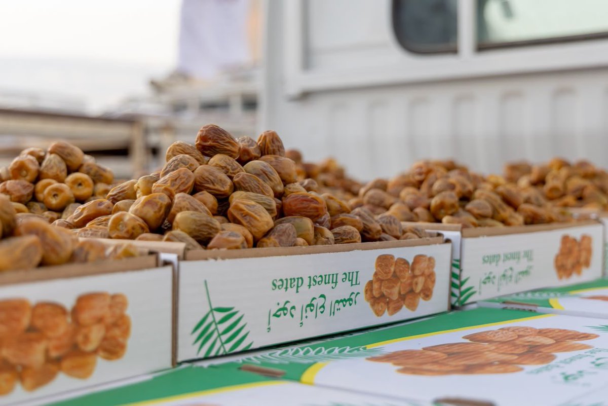 Sgdates's tweet photo. مسارات #شركة_السلوم_والغيث_لتسويق_التمور صباح اليوم 🌴

#كرنفال_بريدة_الدولي_للتمور https://t.co/H1ZQOUt2jw