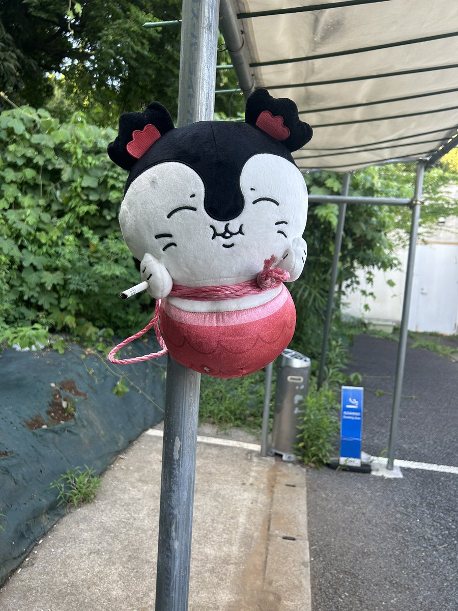shimada_2ro's tweet photo. 大事なミーティング乗り越えて今これ https://t.co/W5E3InN6jX