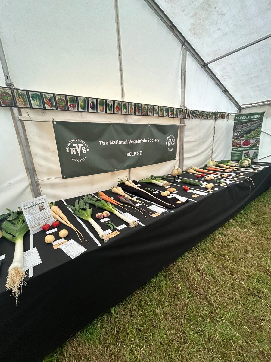 medwynsofangles's tweet photo. The Best exhibit in the Show went to Michael Mc Coldrick with a brilliant two plates of Kestrel and Winston. The Winston were superb with great Uniformity and skin condition akin to silk!  John Lowe won the tomato class with Damaress that’s no longer commercially available https://t.co/AFKqIZIAW0