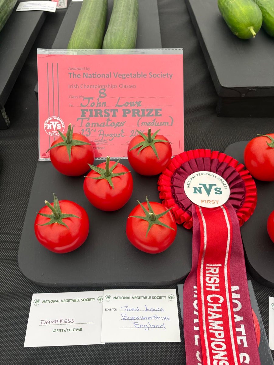 medwynsofangles's tweet photo. The Best exhibit in the Show went to Michael Mc Coldrick with a brilliant two plates of Kestrel and Winston. The Winston were superb with great Uniformity and skin condition akin to silk!  John Lowe won the tomato class with Damaress that’s no longer commercially available https://t.co/AFKqIZIAW0
