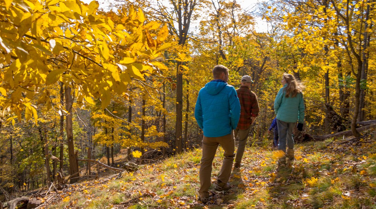 AlafytMohammed's tweet photo. Join our campus hiking club this weekend! We’ll explore the forest trail, make new friends, and enjoy the autumn scenery. Sign up via the link in bio—spots are limited!， https://t.co/E9ZeTlwT8n