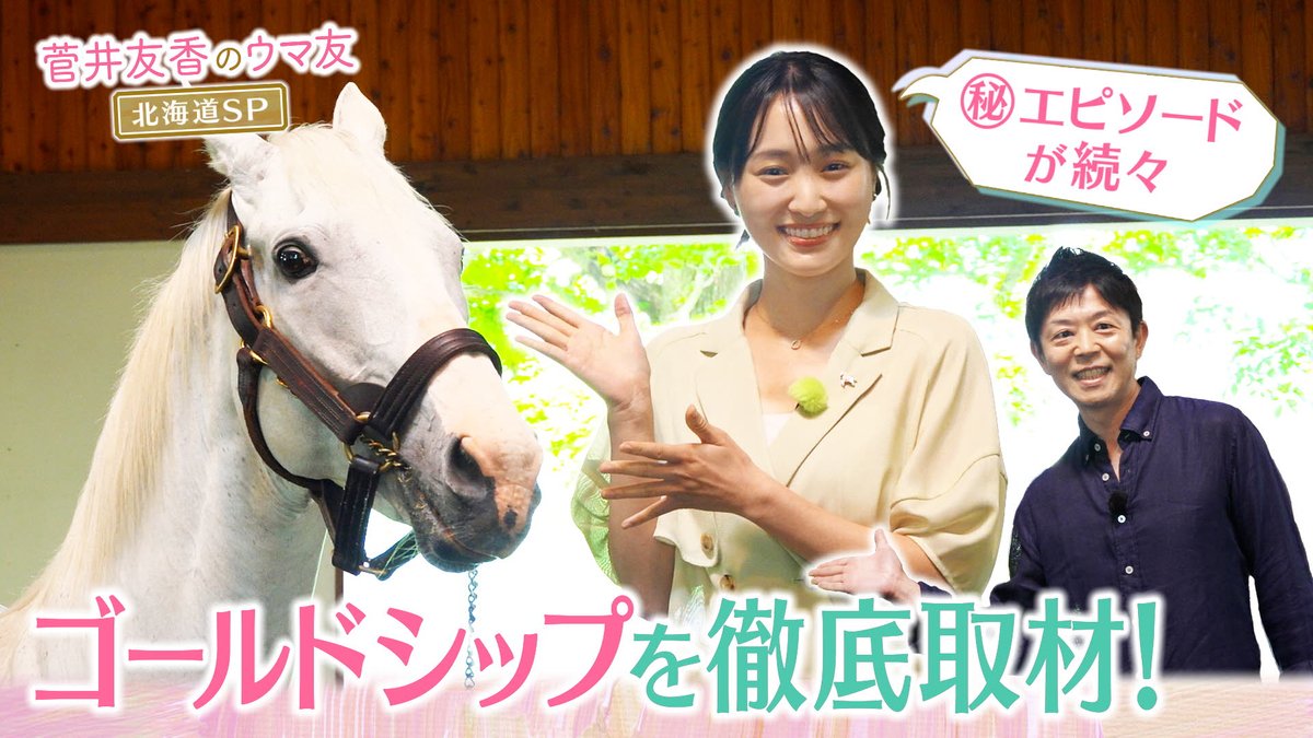 sugaiyuuka1129's tweet photo. 🐎YouTube
「菅井友香の #ウマ友」公開されました！

今回は…
夏の北海道スペシャル第２弾🐴🌟

ファンに愛され続ける名馬
ゴールドシップを取材させていただきました！
https://t.co/ZXF4uHawTs

ぜひご覧ください！
(staff)
#菅井友香 https://t.co/ULLOj9EY4D