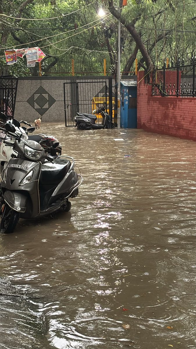 amitkumar112175's tweet photo. @CMODelhi @MCDdelhi Dear Ma'am thisbis the situation after every rain In front of SDMC School and nearby area and several complaints have been raised several times but no action from MCD or DDA to resolve the issue DDA Airport drain destroyed the Rain water drains of area https://t.co/J2xhvLwDOj