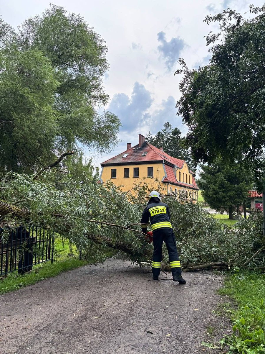 KWegorzewo's tweet photo. 🌪️ Około 90 interwencji w powiecie węgorzewskim 🚒

Silny wiatr dał się we znaki w miniony weekend. 🌬️ JOP z powiatu węgorzewskiego odnotowały ok. 90 zdarzeń – głównie połamane drzewa i konary 🌳

🕯️ Niestety, 22.08 w Stulichach doszło do wypadku śmiertelnego. https://t.co/ddkUyEpY4n