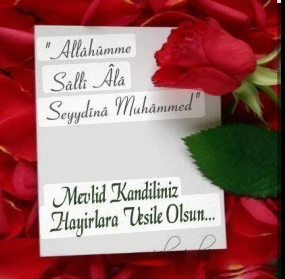 YSB5326's tweet photo. ALEMLERE RAHMET OLARAK GÖNDERİLEN MUHAMMET MUSTAFA (S,Â,V,) EFENDİMİZİN DÜNYAYA TEŞRİFİNİ MÜJDELEYEN MEVLİD KANDİLİMİZİ HAYIRLARA VESİLE EYLE MÜBAREK KANDİL GÜNÜ OKUDUĞUM YÂSİN'İ ŞERİF  VE FETİH SURELERİ HÜRMETİNE  CÜMLEMİZİ CENNETİ ÂLÂDA  PEYGAMBERİMİZE  KOMŞU EYLE ÂLLÂH'IM,c,c, https://t.co/SAIXBK7X6y