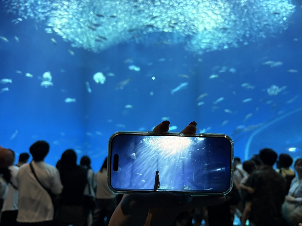 sa6a0849s's tweet photo. 聖地巡礼してきた!
1番好きなMV、Dearにでてくる水族館˚。˳✧
#MrsGREENAPPLE #Dear https://t.co/26g63xvpR0