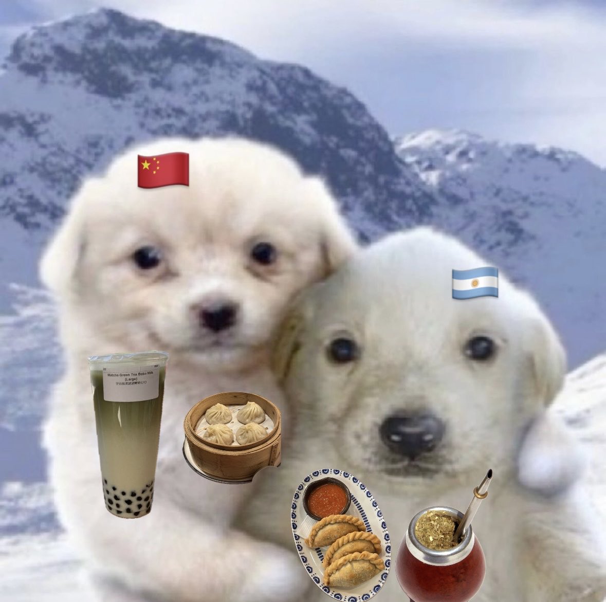 evilpoodle4ever's tweet photo. https://t.co/bOboXmW3ij