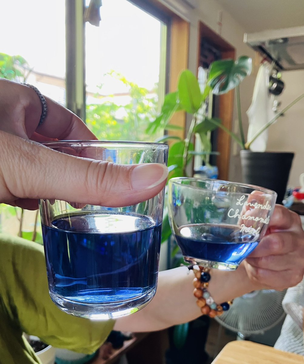 Lazward_labo's tweet photo. エゾシカの角とガーネットのクリスタルワンド

簪にもなるのでまとめ髪にさしてもカッコイイはず

自分今髪短いので誰か着けてみてくれないかな…

NAフルートのGIGでステキな青いお茶を飲ませてもらう🫖

#鉱物 #クリスタル #エネルギーツール #マクラメ編み #アクセサリー #ハンドメイド #Lazward https://t.co/D4GFKUmmLP