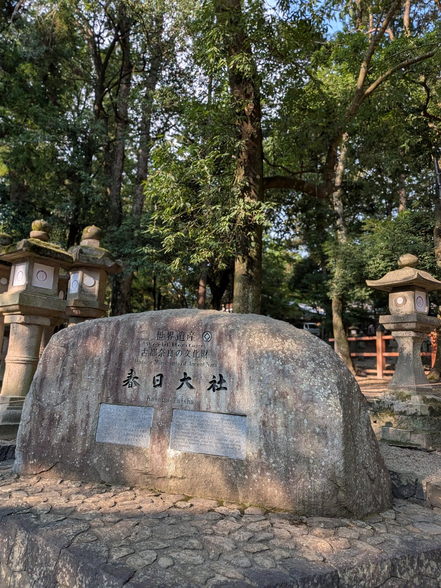 shooooeva's tweet photo. 奈良公園からの春日大社 https://t.co/L5ipFocRon