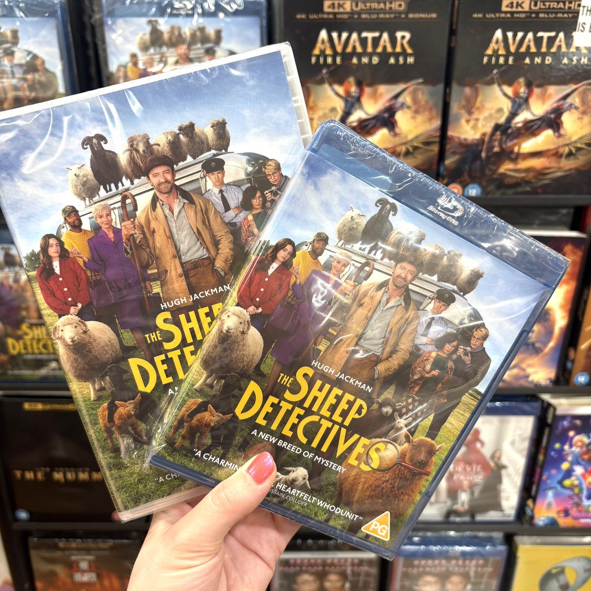 hmvSolihull's tweet photo. 🍿 NEW RELEASE 🍿

The Sheep Detectives, starring Hugh Jackman, is out now! 🥳

Perfect family fun this summer holidays! ☀️

#thesheepdetectives https://t.co/JumWQfC0P7