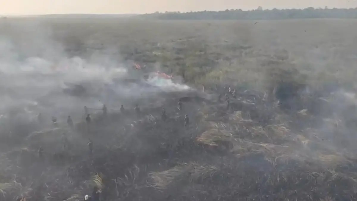 danskuss's tweet photo. ⚠️⚠️⚠️⚠️⚠️⚠️⚠️⚠️⚠️

WAY KAMBAS KEMBALI TERBAKAR 🔥🔥🔥

Belum genap 2 hari padam, hari ini Way Kambas kembali terbakar!

Setelah kemaren sekitar 673 hektar terbakar, hari ini ditemukan lagi sekitar 100 hektar di kawasan sekitar Desa Braja Luhur, Kecamatan Braja Selebah.

Beruntung yang kali ini deket dengan aliran sungai dan jauh dari Zona Gajah! 🥹🙏✨️

Yang terdekat masih sekitar 25km dari titik api.

Semoga lekas padam 🥹🙏

#PrayForIndonesia 

SC:

Ig official way kambas