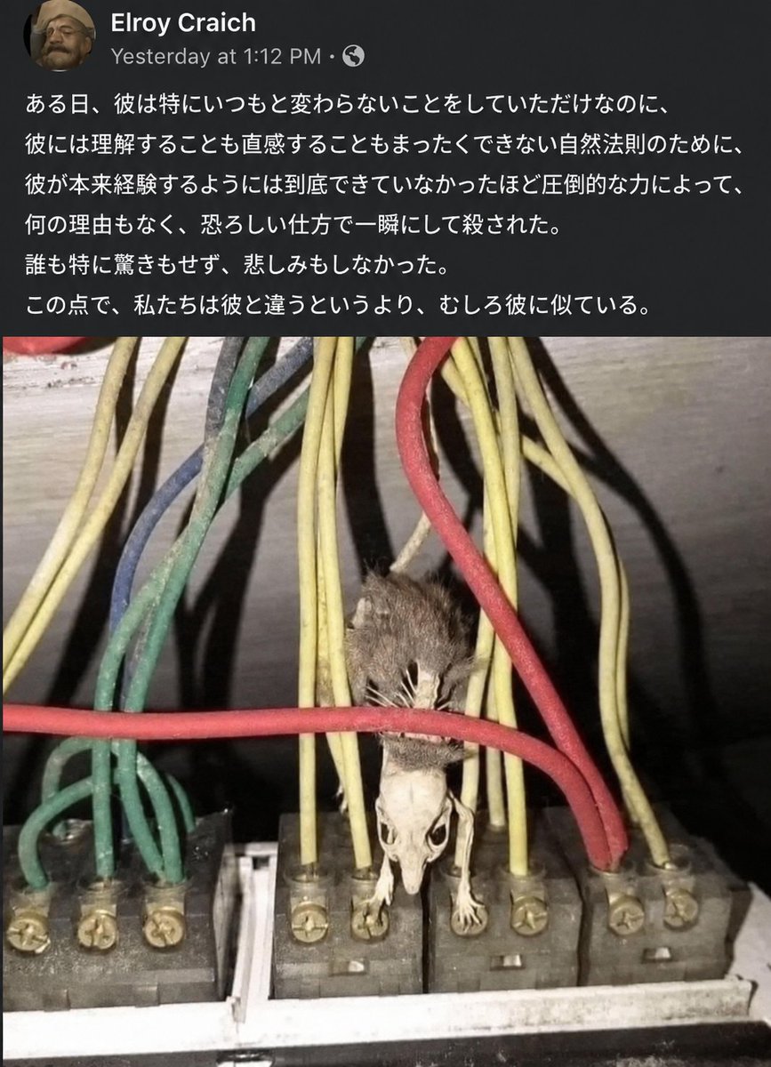 ExtinctionMeme's tweet photo. https://t.co/Ew7BjsXRCU
