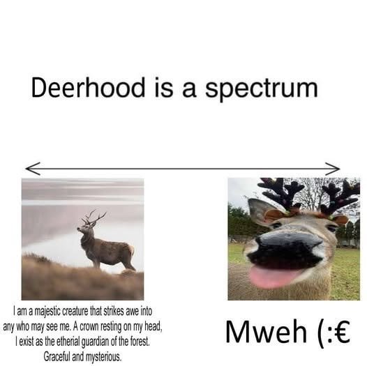 ipostdeer's tweet photo. where are you on the deer spectrum https://t.co/tJP23CPXFr