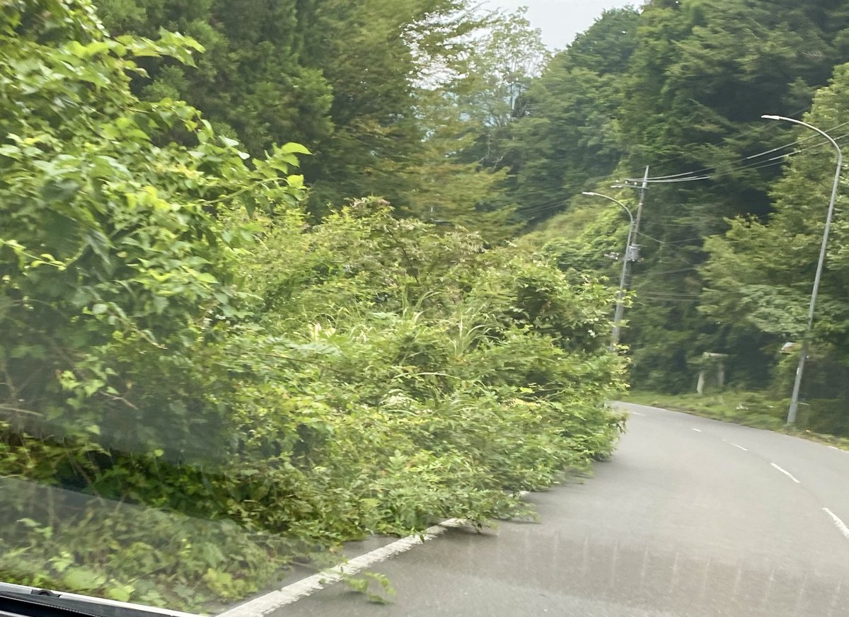 f_nakamoto's tweet photo. 【歩道・路肩の繁茂】

広域斎場先の歩道についてご相談をいただきました！

歩道は歩けませんし、路肩は自転車がふくらんで走行します。※路肩写真は山王峠

県道ゆえに内沼県議に相談しております！
しばしお待ちください。 https://t.co/RnCIkB3TOw