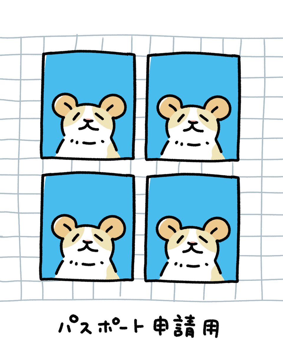 nonezumidesign's tweet photo. 6カ月以内に撮影したものをご提出ください📸🐀
#ファンシーラット https://t.co/7ESwkvDaIM