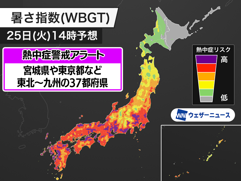 wni_jp's tweet photo. 【明日の熱中症警戒アラート】
環境省と気象庁は、8月25日(火)を対象とした熱中症警戒アラートを東北〜九州の37都府県に発表しました。

こまめな水分補給を心がけるとともに、屋外での長時間の行動を避けて室内で冷房を使用するなど、積極的に熱中症予防を行ってください。
https://t.co/WklQXtvEfp https://t.co/Ae2fCOJGWF