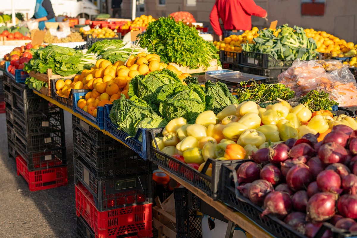 nzhccq's tweet photo. Ofertas increíbles en frutas y verduras frescas! Melones dulces, zanahorias crujientes y naranjas jugosas a precios bajos, ven a abastecer tu cocina hoy mismo! https://t.co/EBWxaswPdY