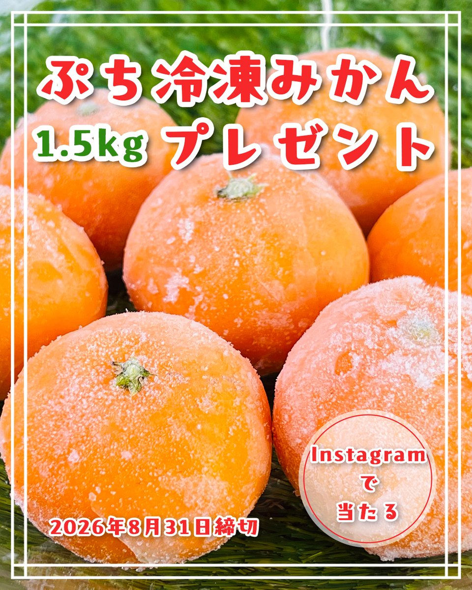 nomakajuen's tweet photo. 更にぷち冷凍みかんをプレゼント！🍊✨

【応募方法】
①画像をよく見てツリーからあちらに移動
②@nomakajuenをフォロー＆いいねだけ！
③ついでにこの投稿をリポストすると！！
④なんとこの投稿がリポストされます！！

#キャンペーンではない #こともない https://t.co/9aRTGcnyvV