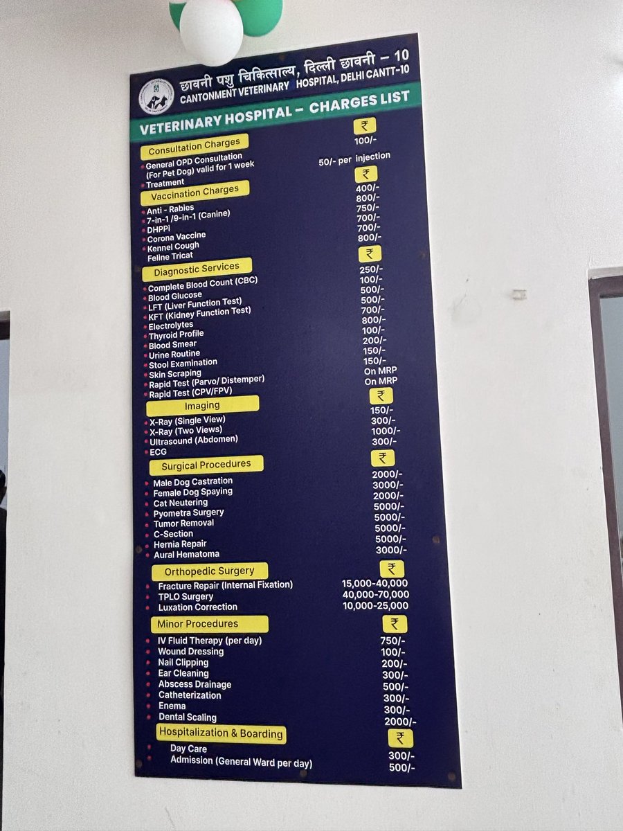 Gurkaur7's tweet photo. @BansuriSwaraj ji hats off to you &amp; the entire team &amp; management behind this noble cause BUT recently I visited hospital with a newly lactating female stray dog mother who was hit by a tempo &amp; got her a leg &amp; backbone broken couldn’t get her surgery &amp; medicines here for FREE 1/2 https://t.co/dGSe1Oqosj