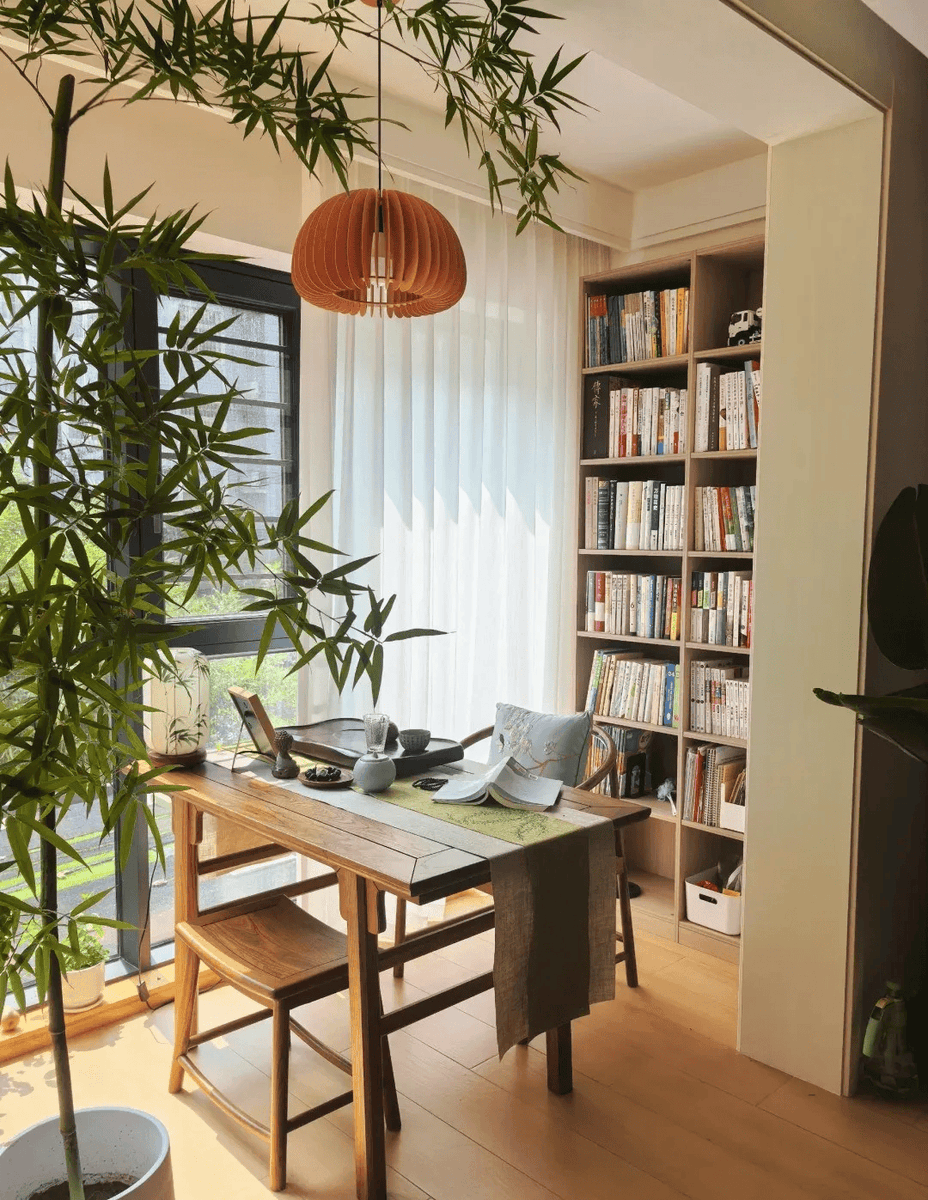 spirh010889's tweet photo. Small apartment now feels like home with a cozy bookshelf and potted plant on my windowsill — even the little changes make big warm differences. https://t.co/rORr6ahzOO