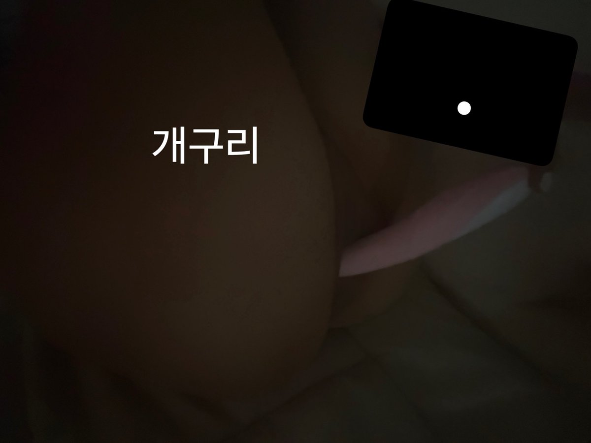 Ouo_opp's tweet photo. 진동은 아직 자극이 강해서 못 키겠어... 

디엠하면 다 읽어요 ㅎㅅㅎ https://t.co/IKn9LaCJBO
