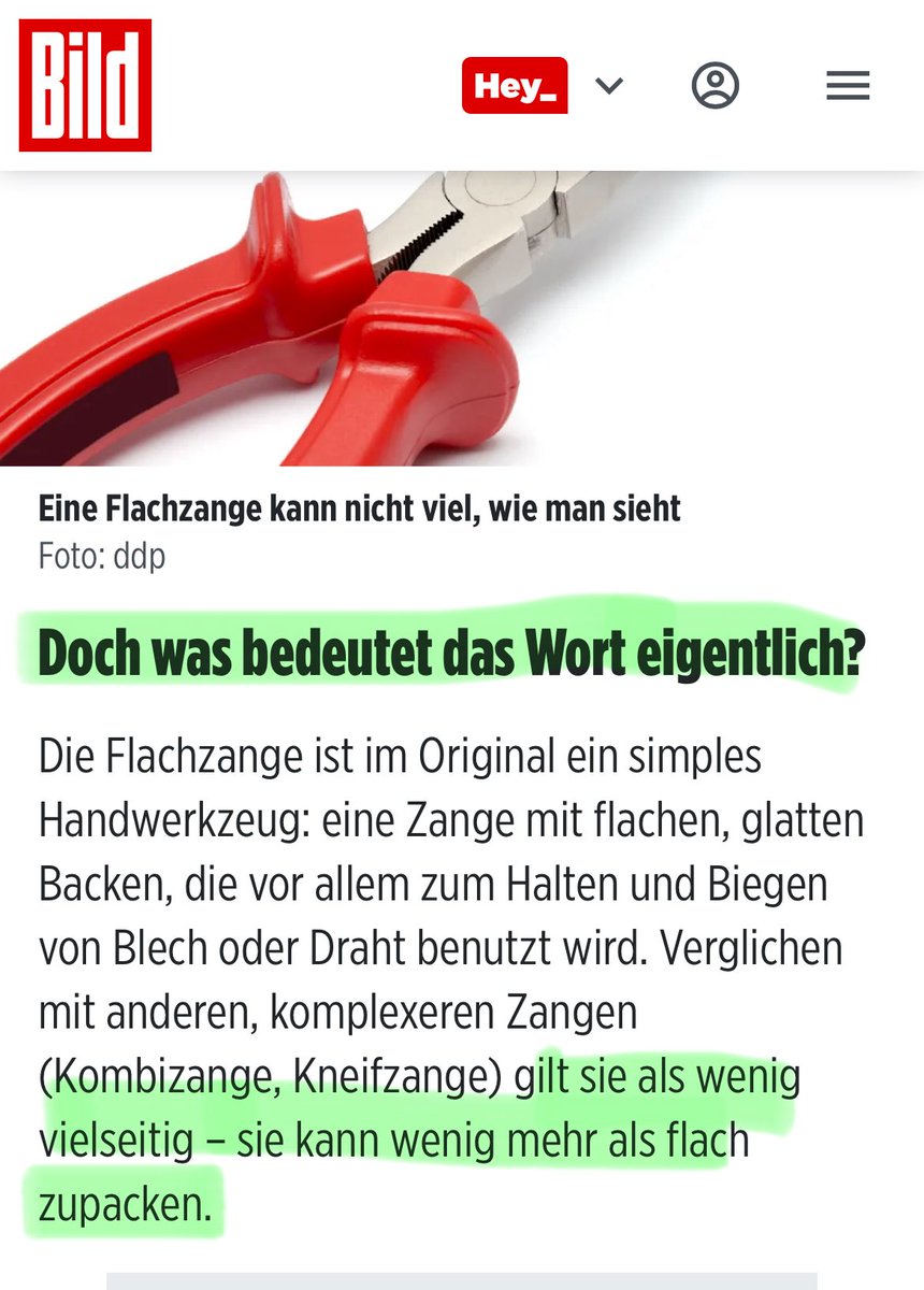 MGGA2021h's tweet photo. Laut neuestes unbestätigten Gerüchten wurde Alice Weidel nun von der DVDF (Deutsche Vereinigung der Flachzangen) angezeigt. 
Grund: Mit Politikern der Regierung verglichen zu werden sehen sie als Diskriminierung. https://t.co/uXZrlQQfoZ