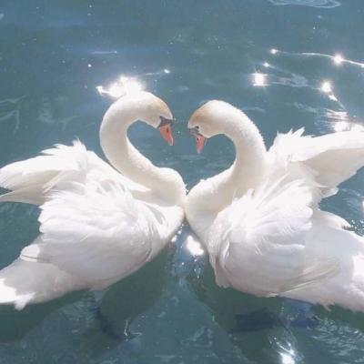 Laurubinstein's tweet photo. Bedtime stories have become my favorite daily ritual. 🌂 https://t.co/QbJBBx7sXO