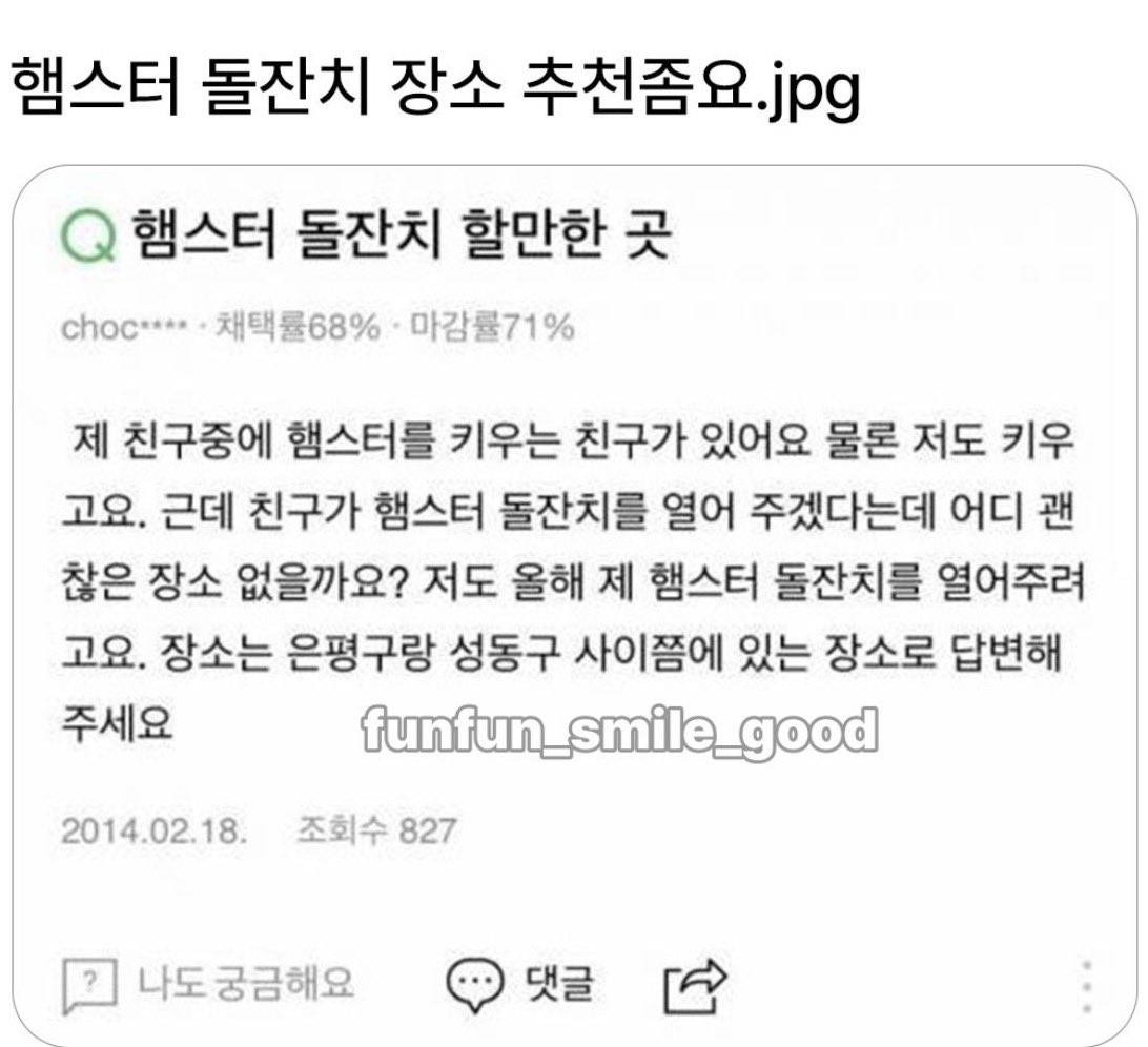 caramelcof01's tweet photo. 햄스터도 돌잔치를 한다고요? https://t.co/uSul5y9H8k
