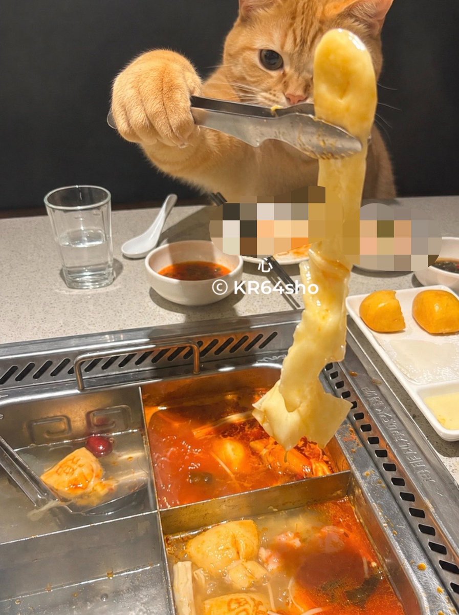 KR64sho's tweet photo. 하이디라오에서 수타면 퍼포먼스 하는 롱샷 자만추 햇어요... 저 덩어리는 롱샷이 선물해주고 간 수타면입니다

#롱샷 #LNGSHOT #김률 #RYUL https://t.co/OghUSTEKBV