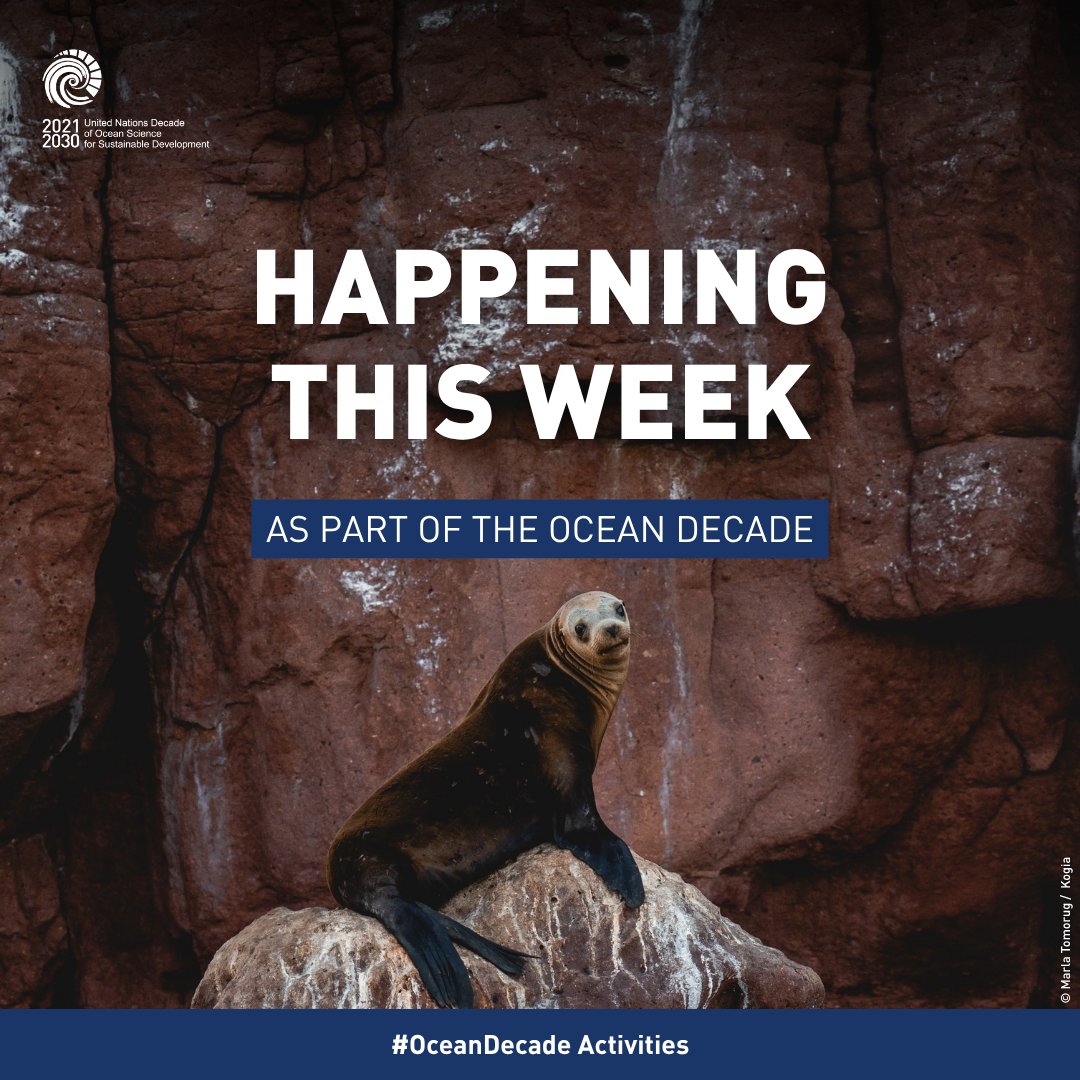 UNOceanDecade's tweet photo. Happy Monday! This week’s #OceanDecade highlights:
🎬 Oceanic Global Short Film Festival: https://t.co/hzSChoW2vY
🌊 Waves of Action: https://t.co/lQL79XsSoD
⛵ In The Same Boat Beach Cleaning Season 2026: https://t.co/iVRNjNkDOq https://t.co/fmvmggheen
