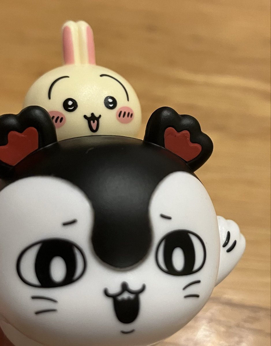 lug59b's tweet photo. うさぎGET
檻に入れてなんかずーっとイィィィヤッッハァァァ！！！ https://t.co/NZj3g03ANX