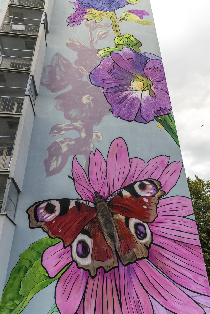 krakow_pl's tweet photo. #Krakow #murale #PrzystanekMotyla #StreetArt #OsiedleSpoldzielcow #WojciechRokosz #kwiaty #hibiscus
Hibiskus, jeżówka, róża, mniszek🌼🌺 i motyl 🦋 są częścią nowego muralu na budynku nr 13 osiedla Spółdzielców.
Mural „Przystanek motyla”, autorstwa Wojciecha Rokosza został zainspirowany kwietnymi ogrodami dzielnicy.
Na sąsiednim budynku znajdziemy inny, kwietny mural przedstawiający storczyki, irysy i skrzypy.
📷 Bogusław Świerzowski/ https://t.co/tZgIasj5cI