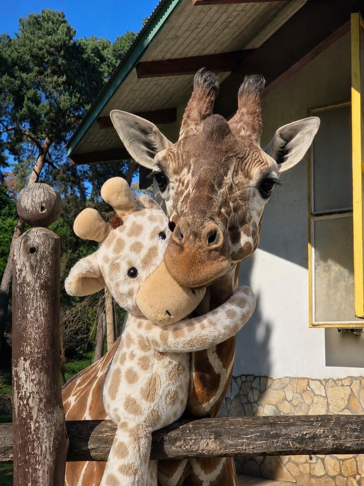 pervbearr's tweet photo. get to know me more!! #moothunt〃・ ๑ᵔ⤙ᵔ๑
    ⤷ my favorite: ˎˊ˗ 𓍢ִ໋🌷͙֒

🦒animal 
🎮game 
🍀color 
🎨hobbie https://t.co/ze50z4xHFp