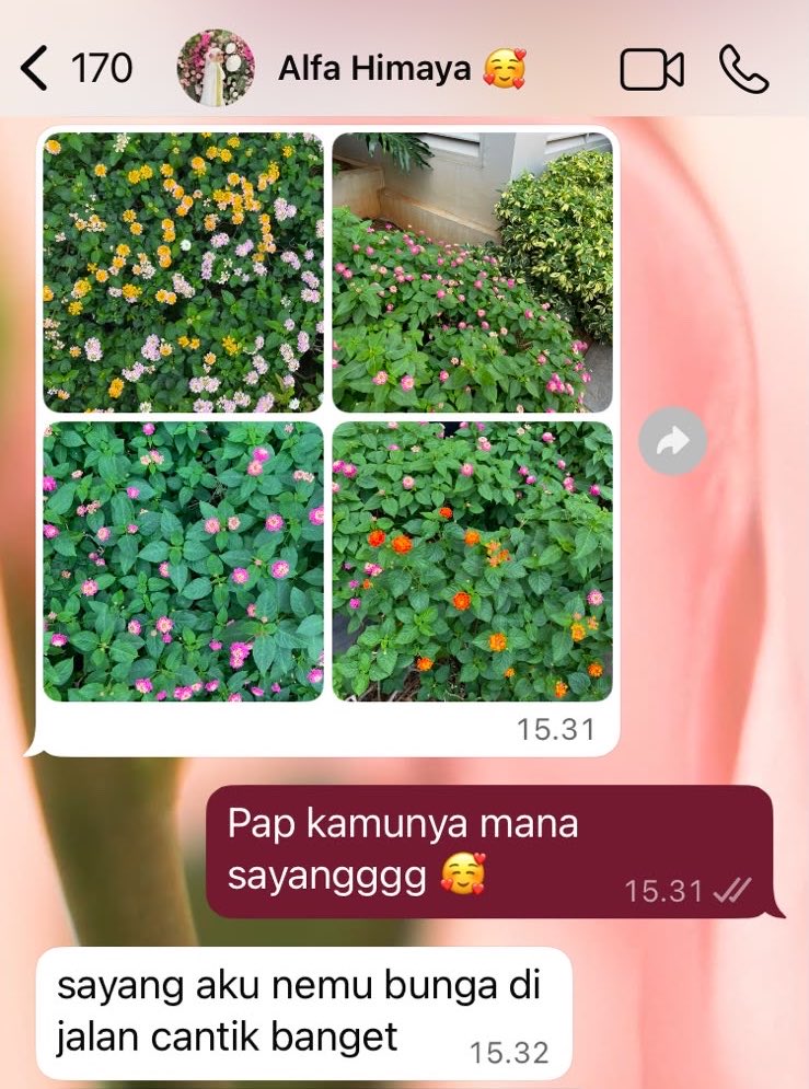 khanifirsyad's tweet photo. Dikabarin hal hal sederhana kaya gini tuh bikin seneng bgt, jadi ngerasa diinget meskipun lagi jauh 🥰

Kalian sama juga ga guys? https://t.co/nLTolUDZED