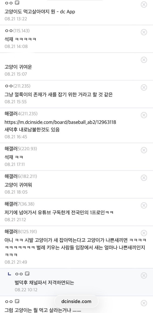 insect_deokku's tweet photo. 같은 남성들에게도 버림받은 새준석... 이제는 디시인사이드 형님들도 새준석을 창피하다고 비웃네요... 흠... 역시 손절은 지능순인지... https://t.co/poCxzI1h2P