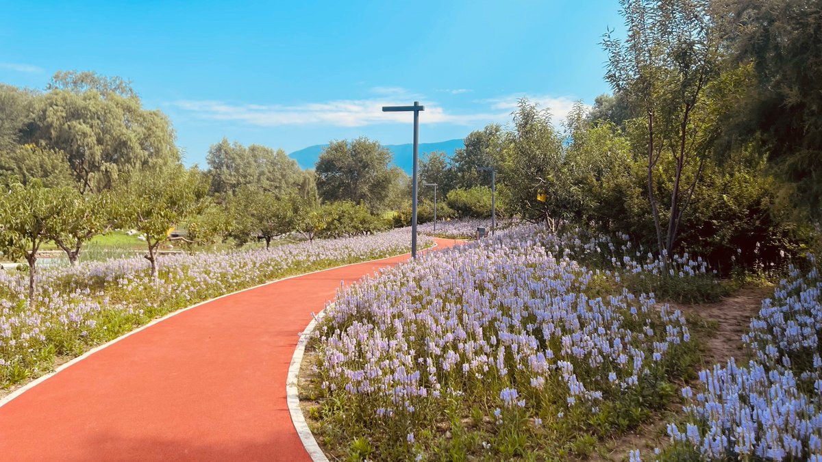 HJ100400's tweet photo. Nueva caminata por el parque del sábado!  #RetoFinDeSemana #AventuraCasera https://t.co/NPl0NoUh9i
