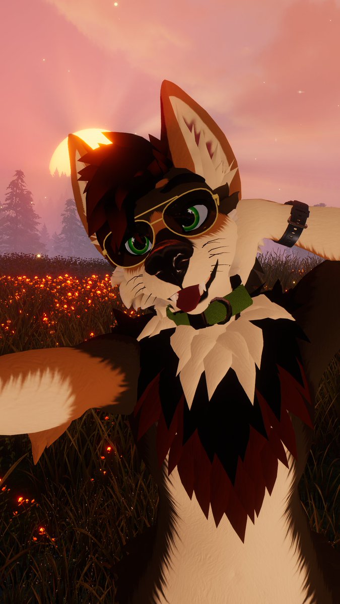 StrikerCoyote's tweet photo. Happy Monday morning everyone :3 https://t.co/tllJbNrC3r
