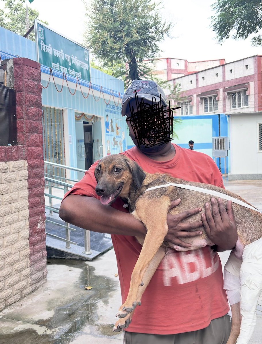 Gurkaur7's tweet photo. 4/4 to buy from outside on disc. as doctor providing medicines on MRP Only, so all we got is Free consultation &amp; bandage with our purchased rods &amp; a quote ‘agar sab free milega to yahan line lag jaegi strays ki’ so visit if can afford 25-40k for 1 stray @BansuriSwaraj ji 🙏🏻 https://t.co/xklRhsEf6o