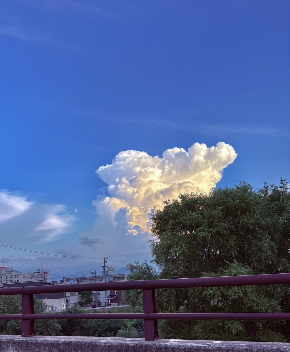 cockroach0517's tweet photo. 夏の雲いいね
お裾分け

#真夏のダイナソー2026
#日食なつこ
#畦 https://t.co/cwhBTnwOYI