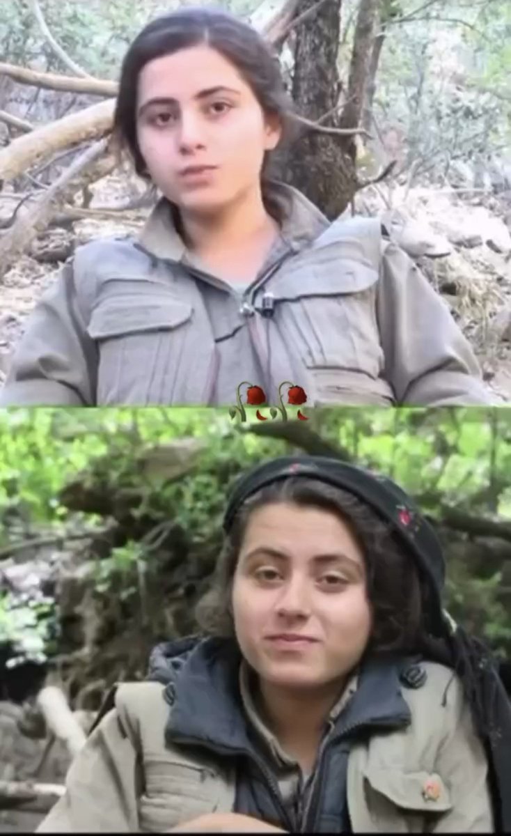 Hevringvr's tweet photo. Şehîd namirin 😔 https://t.co/RsYYAUsYjk