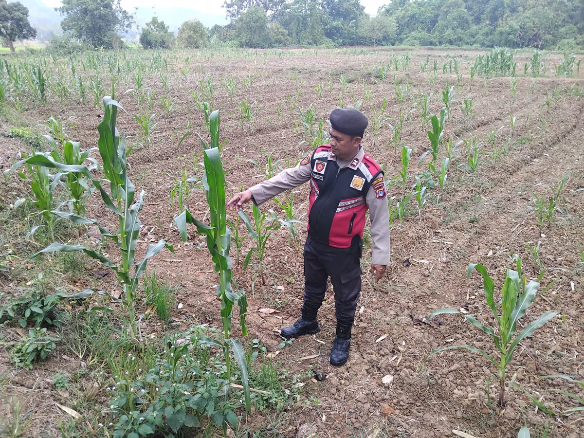 HumasTab tweet picture