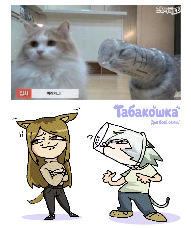 anonssobakoi's tweet photo. ( ಥ ʖ̫ ಥ) https://t.co/sCIf71V4yu