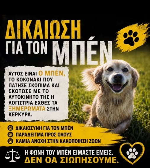 ArtziKai97748's tweet photo. ΦΙΛΟΖΩΟΙ ΕΘΕΛΟΝΤΕΣ ΔΥΤΙΚΗΣ ΑΤΤΙΚΗΣ https://t.co/ZaE6R1hg8t