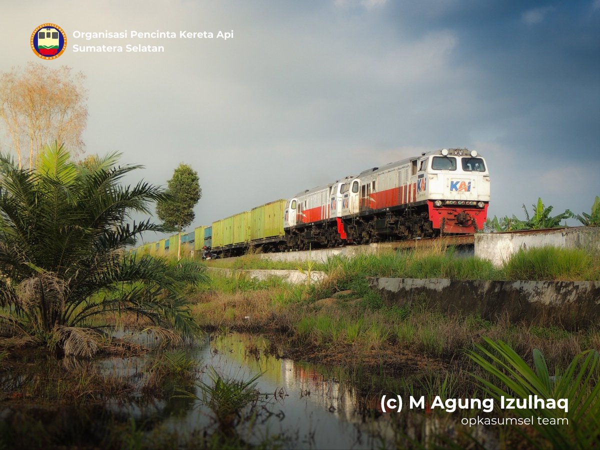 opkasumsel's tweet photo. Omong kosong kalau rel KA ga bisa dibikin di atas tanah gambut, nih di Sumsel bisa ada jalur KA di atas tanah gambut kok.

Jalur KA dari Stasiun Payakabung sampai Stasiun Kertapati (Palembang) itu berdiri di atas lahan gambut. Jalur ini bahkan sudah ada sejak era kolonial.

Selain pile boring, ada juga teknik cerucuk yang bisa menggunakan bahan lokal yang tersedia di lahan gambut Sumatera dan Kalimantan : kayu gelam.

Setelah stripping tanah dasar, dibuatkan cerucuk dari kayu gelam. Kayu gelam ini kemudian berfungsi untuk memperkokoh struktur tanah dan menyebarkan beban. Kayu gelam sendiri terbukti dapat meningkatkan kapasitas beban pondasi yang terletak di tanah gambut.

Hasilnya pun bukan kaleng-kaleng.  Meskipun dilintasi puluhan KA batu bara bertonase 3000-4000 ton setiap harinya, jalur KA Payakabung - Kertapati ini jadi salah satu jalur KA dengan kualitas terbaik di Pulau Sumatera. Naik KA rasanya sangat stabil meskipun lewat di atas tanah gambut.

Selain cerucuk gelam, Stasiun Simpang di Kab. Ogan Ilir juga dibangun dengan teknik pile boring. 

Kalau mau belajar bikin rel di tanah gambut Kalimantan, belajar ke Sumsel aja cukup kok. Bisa pakai bahan lokal (kayu gelam) juga malah.