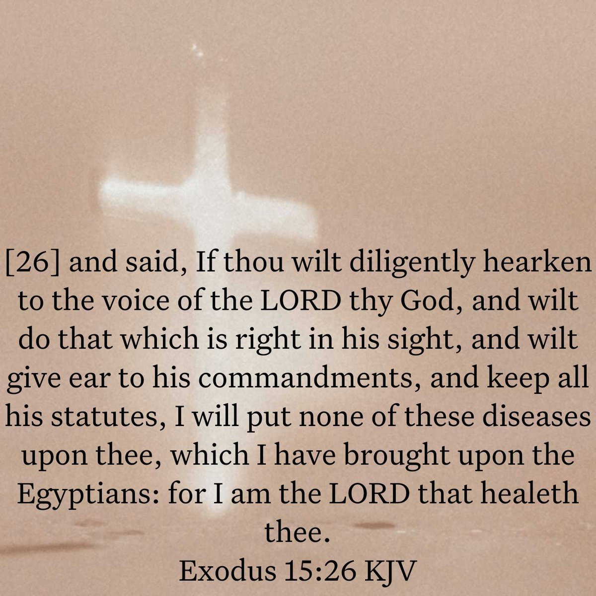 ktfoxbest's tweet photo. for I am the LORD that healeth thee.
Exodus 15:26 KJV https://t.co/tl0rKZHgj6 https://t.co/GIrfFgOIZf
