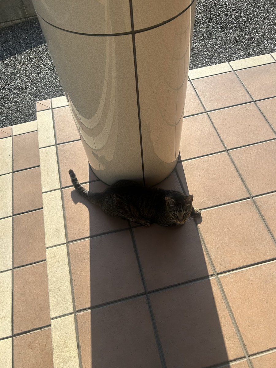 dj_blackgod's tweet photo. 暑いね〜。 https://t.co/QaFbtii19c