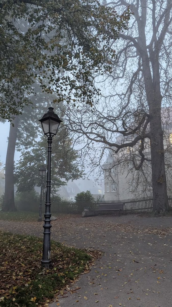 elemmiressoul's tweet photo. foggy autumn. https://t.co/WWZoppwxzv